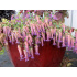 Origanum ‘Amethyst Falls’